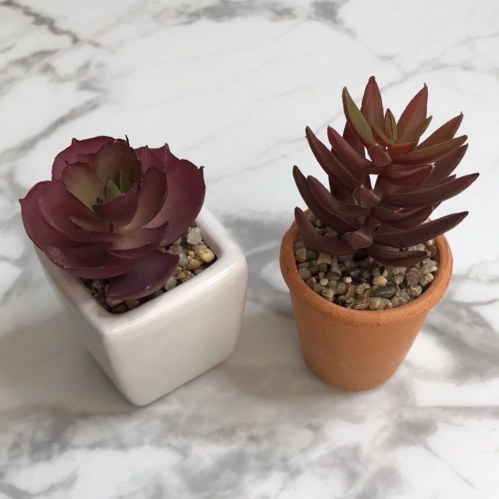 NEW Set of 2 Faux Mini Succulents in Ceramic & Terracotta Pots | Home Décor
